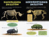 Who Would Win?® Monstrous Mammals 