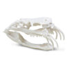 Snakes Rule! with Replica Skull
