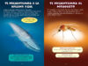 ¿Quién ganará?® Ballena azul vs. Mosquito (Who Would Win?® Blue Whale vs. Mosquito)