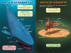 ¿Quién ganará?® Ballena azul vs. Mosquito (Who Would Win?® Blue Whale vs. Mosquito)
