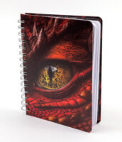 Dragon Spiral Journal