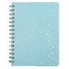 Holographic Celestial Spiral Journal