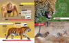 Predator Battles with Teeth