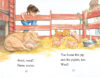 Biscuit Reader Pack (Early Readers)