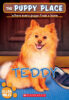 The Puppy Place Set