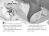 Coral Keepers: Search for the Silver Shell