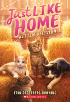 Just Like Home: Kitten Delivery