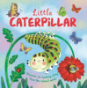 Little Life Cycle Pack