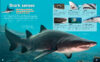 Dive Into Sharks with Shark Teeth