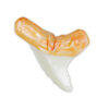 Dive Into Sharks with Shark Teeth