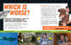 Which Is Worse? Animal Challenges