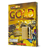 Dig and Discover: Gold with Mini Dig