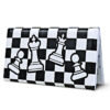 World of Chess: Everything You Need to Learn to Play with Magnetic Chess Set