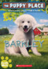 The Puppy Place Library (Library-Bound Editions)
