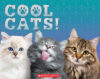 Cool Cats!