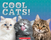 Cool Cats!