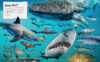 Ultimate Shark Collection