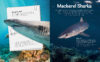 Ultimate Shark Collection