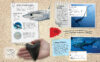 Ultimate Shark Collection