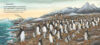 Jonty Gentoo: The Adventures of a Penguin