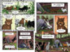 Warriors Graphic Novel: Exile from Shadowclan