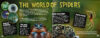 Tarantulas! And Other Spiders with Model