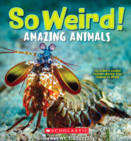 So Weird! Amazing Animals with Isopod in Slime
