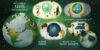 Our Universe Collection
