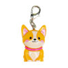 Stay Pawsitive with Charm