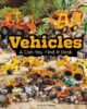 Can You Find It? Collection (Library-Bound Editions)