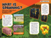 Secret Builder’s Guide: Minecraft Mobs