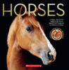 Horses with Necklace