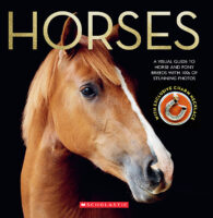 Horses with Necklace