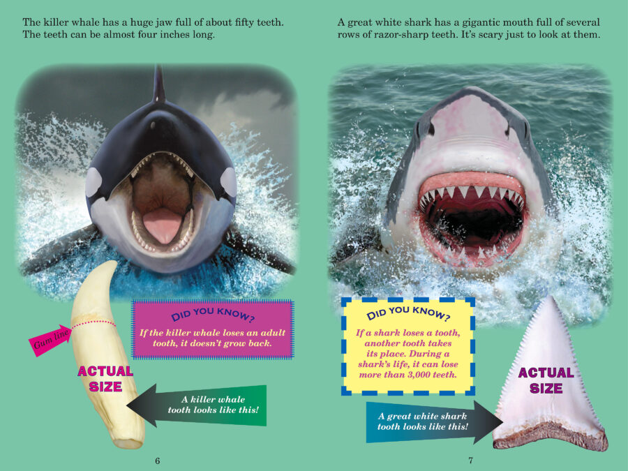 Who Would Win?® Pack by Jerry Pallotta (Book Pack Who Would Win?® Pack by Jerry Pallotta (Book Pack