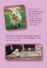 The Dodo: Chi Chi’s Story