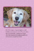 The Dodo: Chi Chi’s Story
