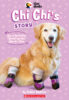 The Dodo: Chi Chi’s Story