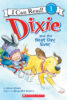 Winter Fun Reader Collection (Early Readers)