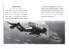 What Do We Know About the Kraken?