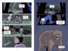I Survived Graphic Novel Pack