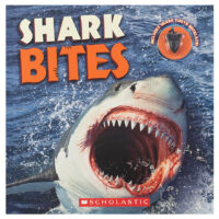 Shark Bites with Necklace