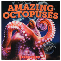 Amazing Octopuses with Necklace