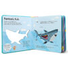 How It Works: Shark
