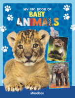 My Big Book of Baby Animals