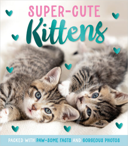 Super 2024 adorable kittens