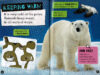 Polar Animals