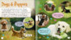Super-Cute Pets