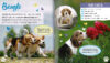 Super-Cute Pets