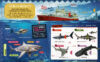 Fact Explorer: Sharks
