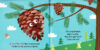 Hello! My Name Is...Pine Cone